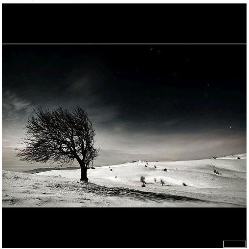 flickr