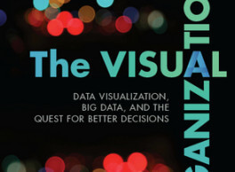 Publication of The Visual Organization