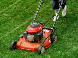 On Lawnmowers and Data Management