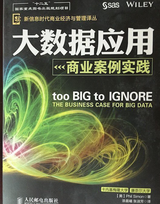 Too Big to Ignore: Chinese Version